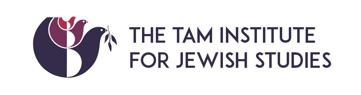 logo-tijs